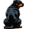 Rottweiler Rottweiler Owner Rottweiler Lovers