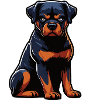 Rottweiler Rottweiler Owner Rottweiler Lovers
