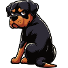 Rottweiler Rottweiler Owner Rottweiler Lovers
