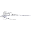 Gibraltar Rocks | Lineart Coast