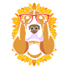 Basset Hound