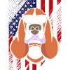 Basset Hound