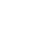 Don Capybara Capybara