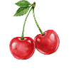 Cherries Summer Vibes Design