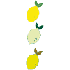 Three lemons hand illustration