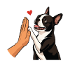 Boston Terrier High Five Hundemutter Pfotenstoß