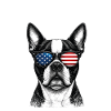 Boston Terrier USA Sunglasses Patriotic Cool