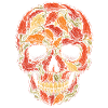 Growing Chili Growers Growing Chilies