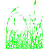 Go_Outside_Touch_Some_Grass