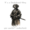 Dachshund Samurai – You wouldn't understand it
