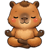 Capybara does meditation
