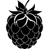 raspberry