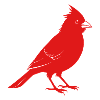 Oiseau rouge