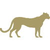 Silhouette Guépard