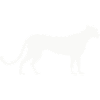 gepard_silhouette_1