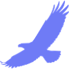 Blauer Vogel im Flug
