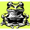 frog