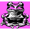 Frosch