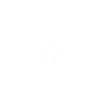 Aikido Kanji Lettering