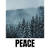 PEACE