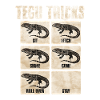 Tegu Tricks Reptilentricks Karten