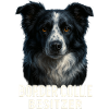 Border Collie Besitzer