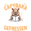 Capybara Hausaufgaben