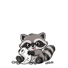 Slightly Chaotic Raccoon, Funny