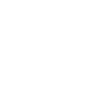 Drone Legend