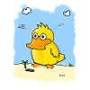 Rayon Léger Canard des Sables