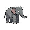 Cadeau Bébé Éléphant Bébé Éléphant