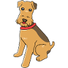 Airedale Terrier