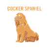 Cocker Spaniel