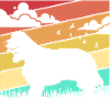 Cocker Spaniel