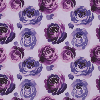 Lavender roses: purple motif