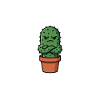 Grumpy Cactus in Pot