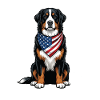 US-Flagge Berner Sennenhund Patriotic Berner
