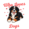 Mädchen liebt Berner Sennenhunde Berner Mama