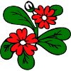  Blüten Fantasie