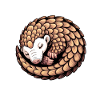 Pangolin Sayings Pine Cone Gift