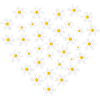 Gänseblümchen Herz | Florales Blumenherz