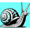 Schnecke
