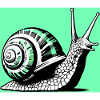 Escargot