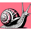 Snail