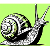 Schnecke