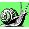 Escargot