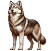 Wolfhound