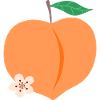 Peach Heart Bloom