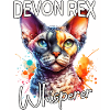 Devon Rex Whisperer