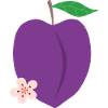 Fleur de prunier pourpre